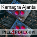 Kamagra Ajanta 14